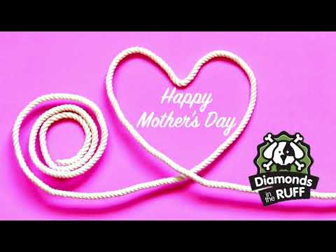 Happy Mother's Day 2021 from Diamonds in the Ruff Pet Resort and Salon