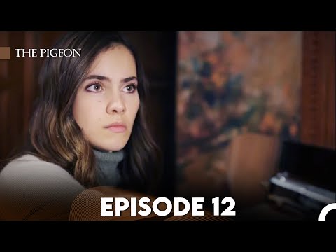 The Pigeon Episode 12 (FULL HD)