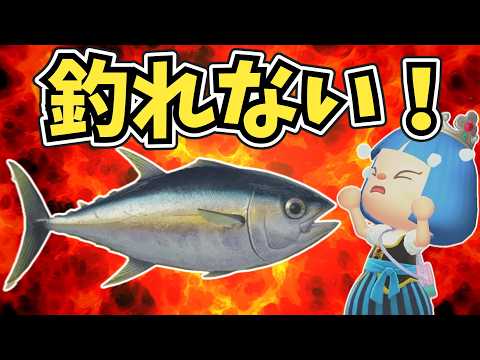 【終われません】マグロが強敵！魚の模型コンプリートまであと10個【あつ森ゆっくり実況】