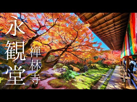 🍁京都紅葉2024🍁永観堂の紅葉は12月でも綺麗なのか？