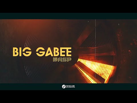 BIG GABEE - WASPS 2024