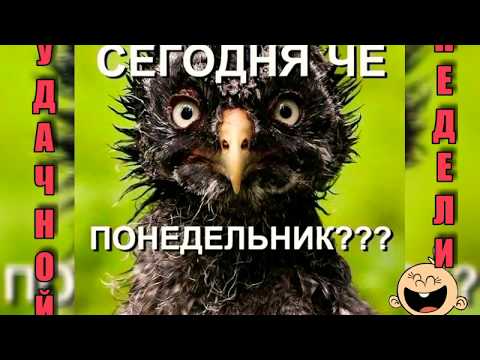 Понедельник! Лёгкой недели! Monday!Нажимай! Click