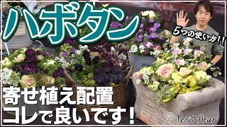 【完全攻略】ハボタンの寄せ植え コレで良いです！配置・色使いまとめて紹介#葉牡丹