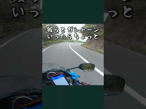 バイクで走っているとウリ坊に遭遇！ 峠は動物注意 _555@GSX-R600(L6)モトブログ(Motovlog)