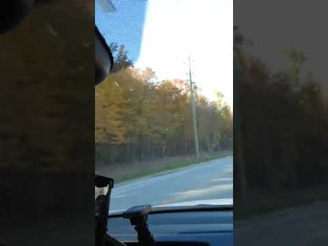 Autumn in Canada #fallcolours #fall #autumn #nature #foliage #shorts #shortvideo