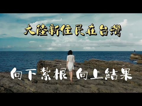 向下紮根、向上結果 —大陸女生在台灣過著怎樣的生活？ 《eye台灣win兩岸》【Jo裡給給】CC字幕/繁中