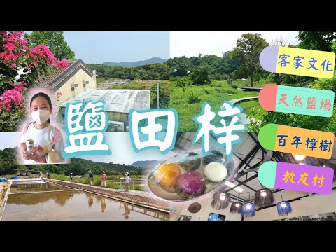 鹽田梓一日遊| Yim Tin Tsai|香港唯一鹽場 |天主教村| 客家文化 |西貢行山 |百年樟樹 |紅樹林|玉帶橋 |親子行山路線 #香港行山#香港好去處#鹽田梓 #西貢{香港好好玩}