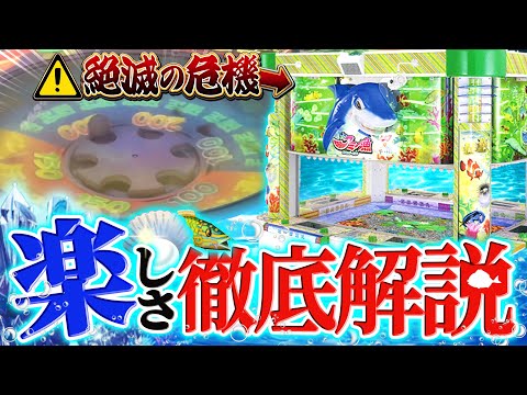 【撤去寸前】全国で数台しか設置されてない17年前の神台遊んだことある奴いる？【メダルゲーム/toアミー漁/レトロ機種】