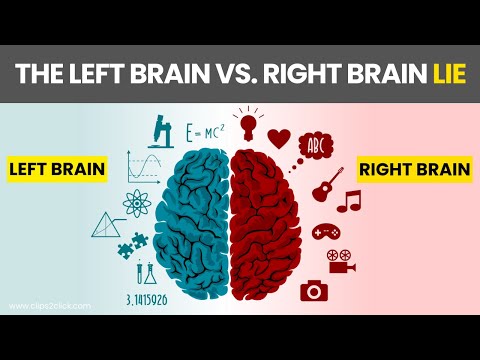 The TRUTH About Left Brain vs. Right Brain - Mind-Blowing Brain Facts