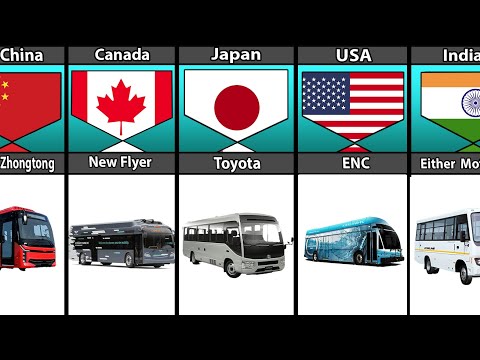 Bus From Different Countries