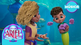 Disney Jr Ariel | Criaturas Asombrosas | Video Musical