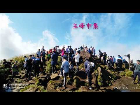 20201213陽明山漫遊