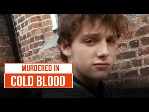 Was there any Justice for Josh Taylor? | Deadliest Kids | True Crime Central