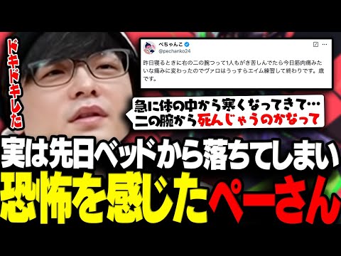 【VALORANT】実は先日ベッドから落ちてしまい恐怖を感じた話をするペーさん【三人称/ぺちゃんこ/標準/まざさんぽりおん/切り抜き】