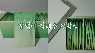 위장 안 좋아서 잠백이양배추(양배추즙) 먹어봤어요