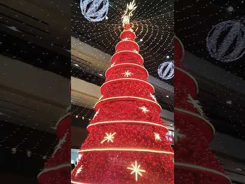 christmas tree | pushpa pushpa | bhojpuri song #cristmas #shorts #song #shortsfeed #video