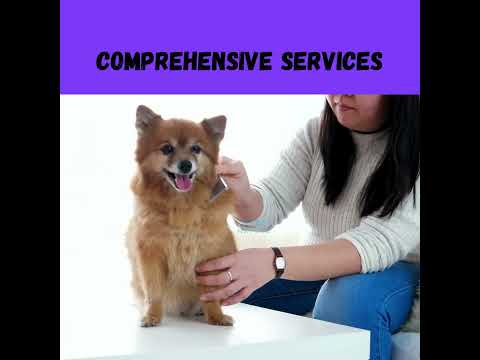 Transform your pet’s look with expert grooming at Nex2Nature!