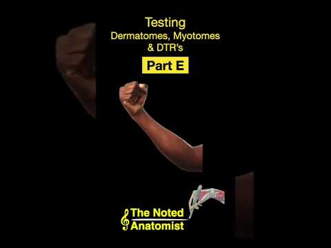 Testing Dermatomes, Myotomes and DTRs #shorts  (Part E)