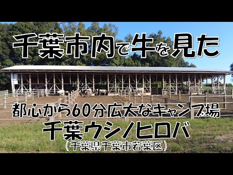 千葉ウシノヒロバ（千葉市若葉区）紹介 都心から60分広大なキャンプ場