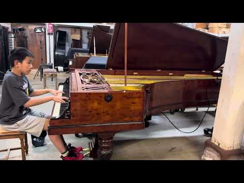 Pleyel Grand Patron Klinkenberg Pianoforte