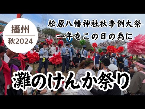 熱気上昇‼︎灘のけんか祭り2024🤜🤛其の十八