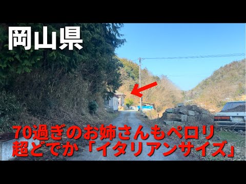 【岡山県建部町】町内でも知られていない。ポツンと揚げピザ専門店「にのまえや」