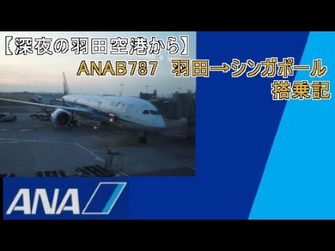 【深夜の羽田2タミからシンガポールへ】ANA B787搭乗記