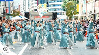 【8K】旅鳥 『Re SONARE(リ・ソナーレ)』（東京よさこい2024）