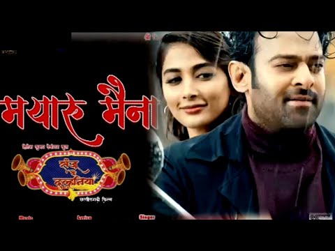 Mayaru maina | मयारू मैना|New cg dj song  prabhas new song video|#poojahedge #prabhas #new song2022