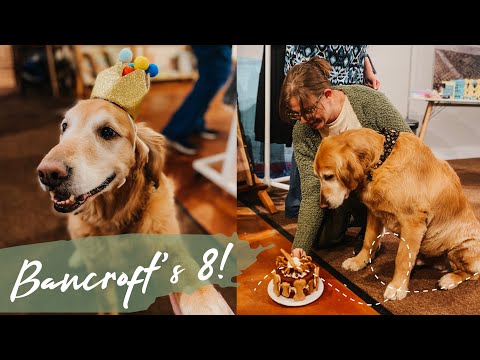 Bancroft's Golden Birthday Party | WEEKLY VLOG