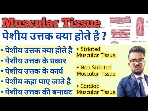 Muscular Tissue in hindi | Skeletal Muscle | Types of Muscular Tissue | Structure of Muscular Tissue