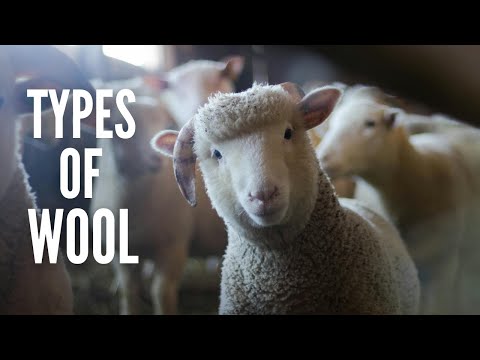 Types of Wool: 11 Things to Know about Wool