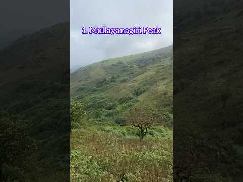 Chikmagalur One Day Sightseeing Plan | #travel #vlog #shorts #hills #dayout #weekend #karnataka