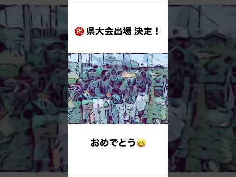 千葉県少年野球低学年大会（ロッテ旗争奪戦）出場決定！【少年野球】【市川市少年野球夏季大会】