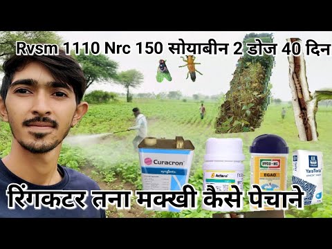 रिंगकटर तनामखी।Rvsm1110 Nrc150 profenofos50,thiamethoxam,emamectin benzoate सोयाबीन स्प्रे9131600079