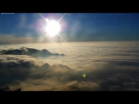 阿里山即時影像-二延平步道-日落、雲海-縮時 | Eryanping Trail Sunset Timelapse in Alishan, Taiwan 2020-11-08