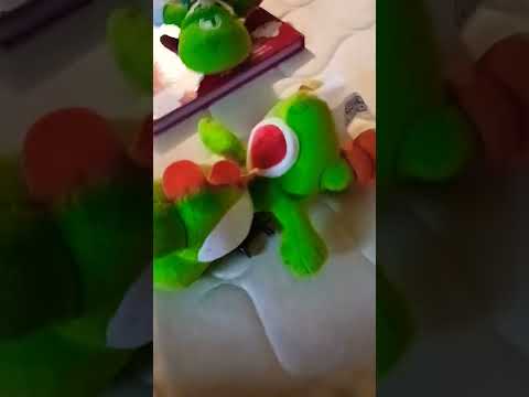 HOW TO COOK YOSHI!!!