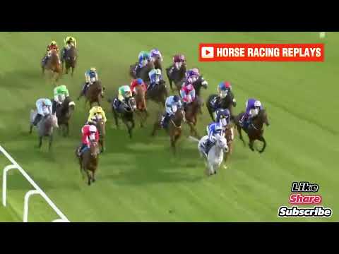 Kind Of Blue /(G1) Champions Sprint Stakes Ascot 19 oct 2024