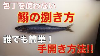 簡単鰯の手開き方法