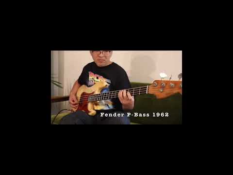 Fender P-Bass 1962  #shorts