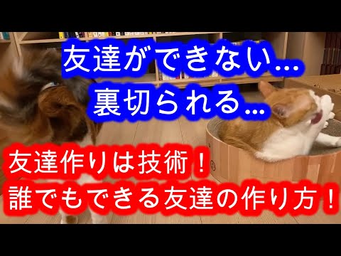 【生活】友達作りは技術！友達ができない人の考え方と解決法！【メンタリストDaiGo切り抜き】