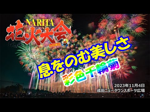 【NARITA花火大会③】息を呑むほどに美しい「彩色千輪菊」 #成田花火 #中締め #第6章 #花火 #千輪