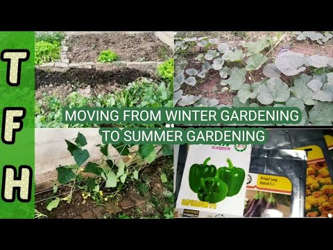 PLANTING SUMMER SEEDS, REMOVING WINTER VEGETABLES, DAILY GARDENING ROUTINE IN LESS TIME