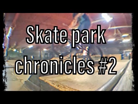 Skatepark Chronicles 2