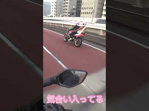 20240907 【スー バイクチャンネル】クセ強めのライダー Funky Riders    #shorts