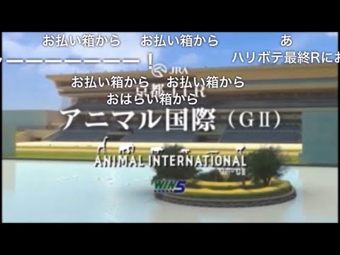 【コメ付き】JAPAN WORLD CUP 3 〜第4レース〜 (60FPS)