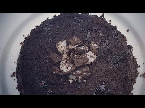 Sugarfree Oreo Biscuit Cake