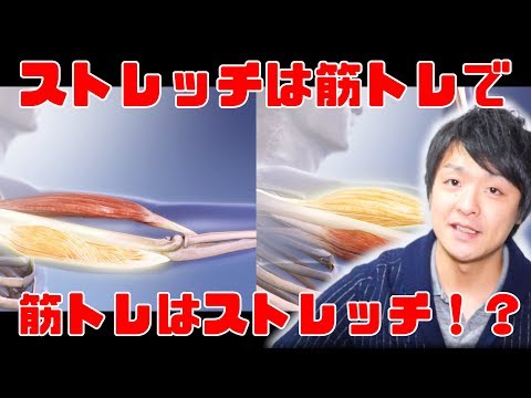 ストレッチは筋トレ！？筋トレはストレッチ！？