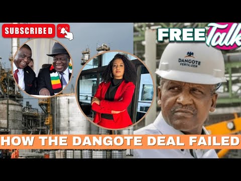 How the Dangote deal failed, inside details the ED involvement- Zim politics #freetalk #hstvzim