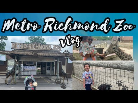 Metro Richmond Zoo Vlog | Sky lift Safari | Feeding Giraffe | Animal Carousel